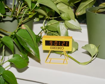 plants and a yellow seiko watch