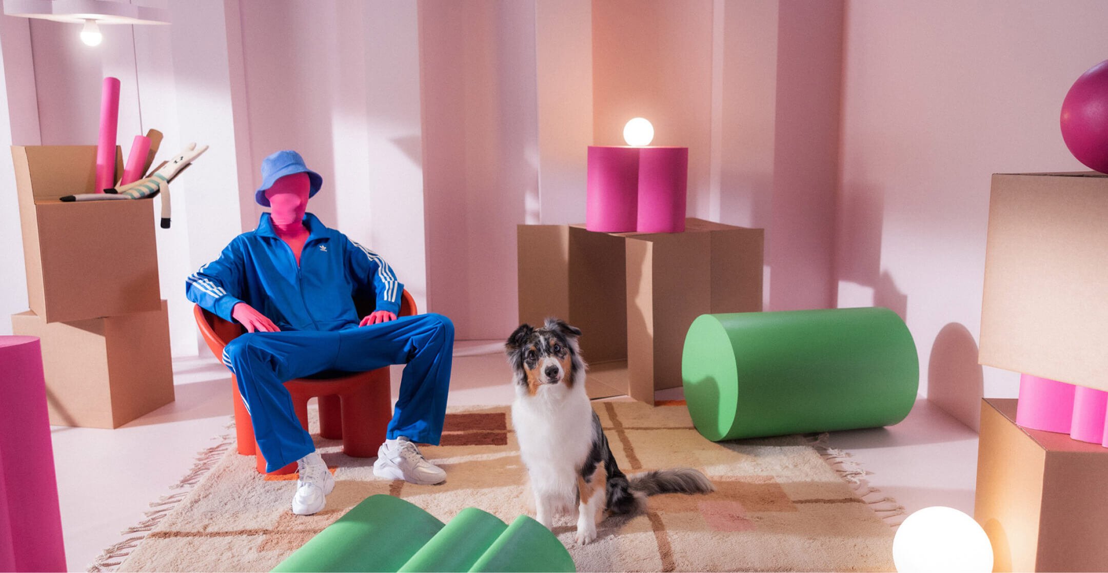 Vaasan sähkö brand image with pastel colors and cute dog